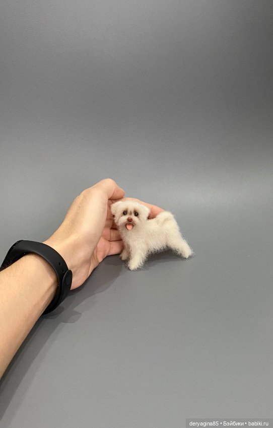 Болонка — Валяные игрушки из шерсти: сухое валяние (фото 2)