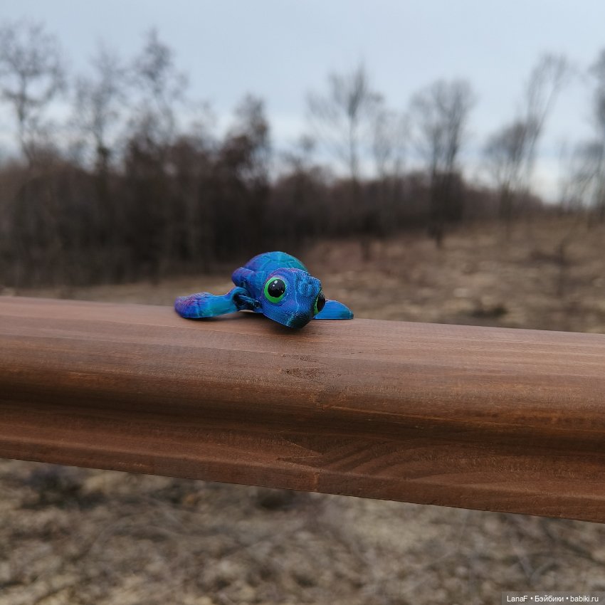 Весенние каникулы Лотты-Эмилии (от Габриэль Мюллер )