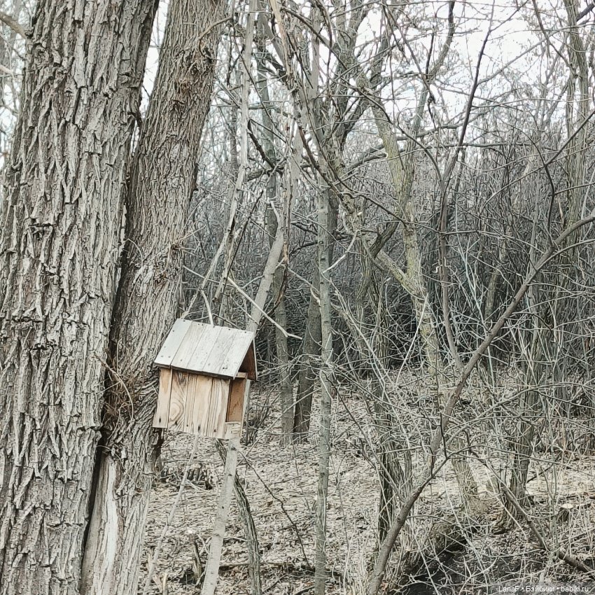 Весенние каникулы Лотты-Эмилии (от Габриэль Мюллер )