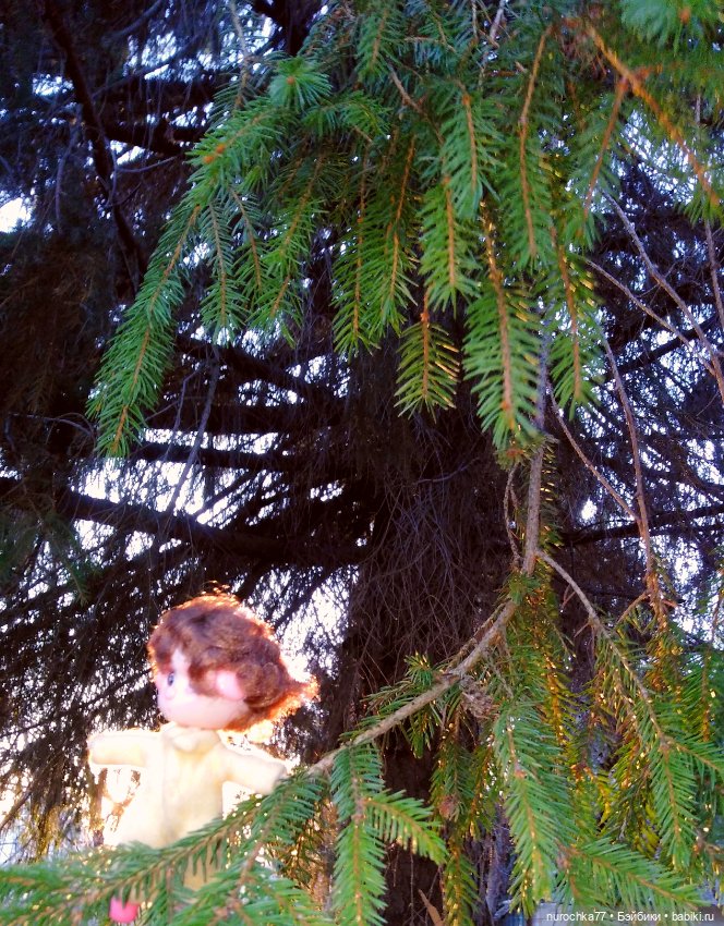 Про Нафочку. На встречу приключениям! Часть 1 (фото 5)