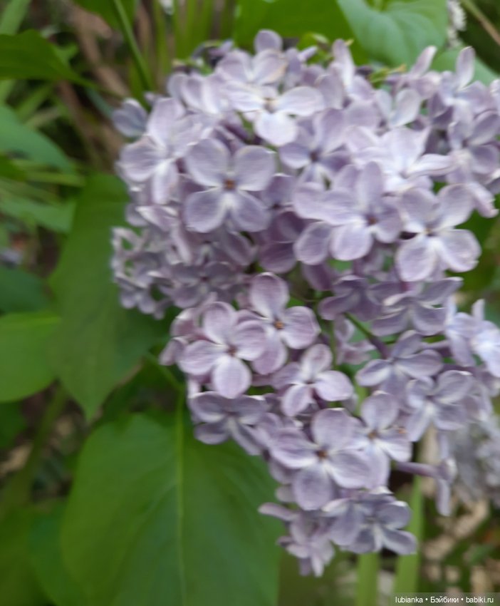 Всем хочется Весны🌞🌱 — Винтажные куклы ГДР (Немки): Бигги (фото 5)