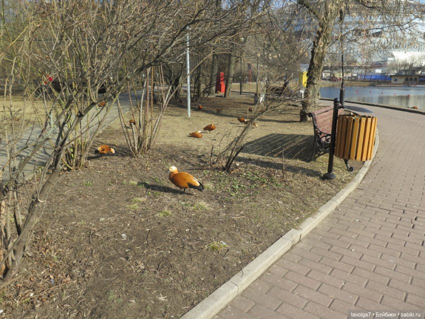 "На миру и Смерть красна!" - Catrinas Underworld