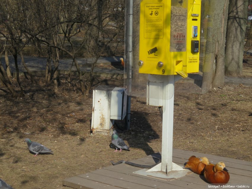 "На миру и Смерть красна!" - Catrinas Underworld