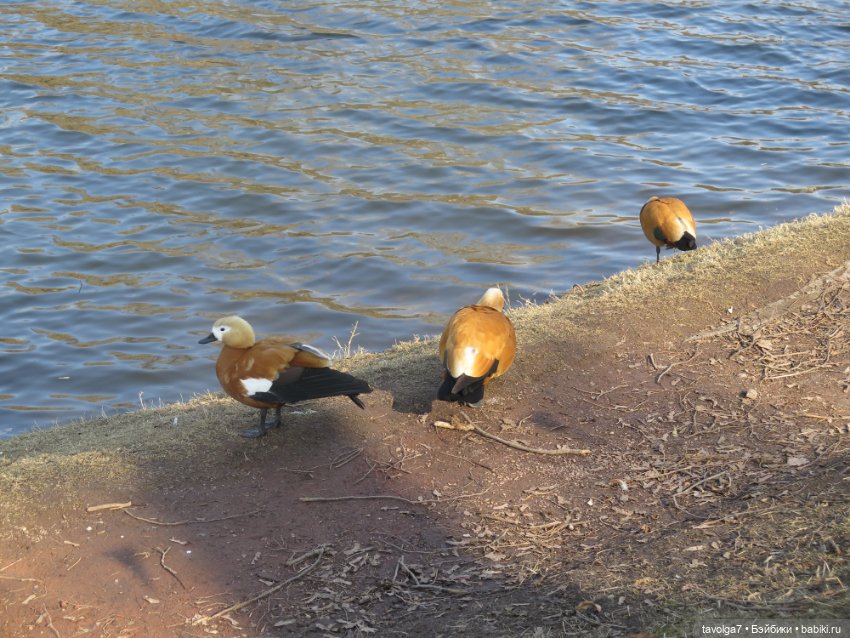 "На миру и Смерть красна!" - Catrinas Underworld (фото 6)