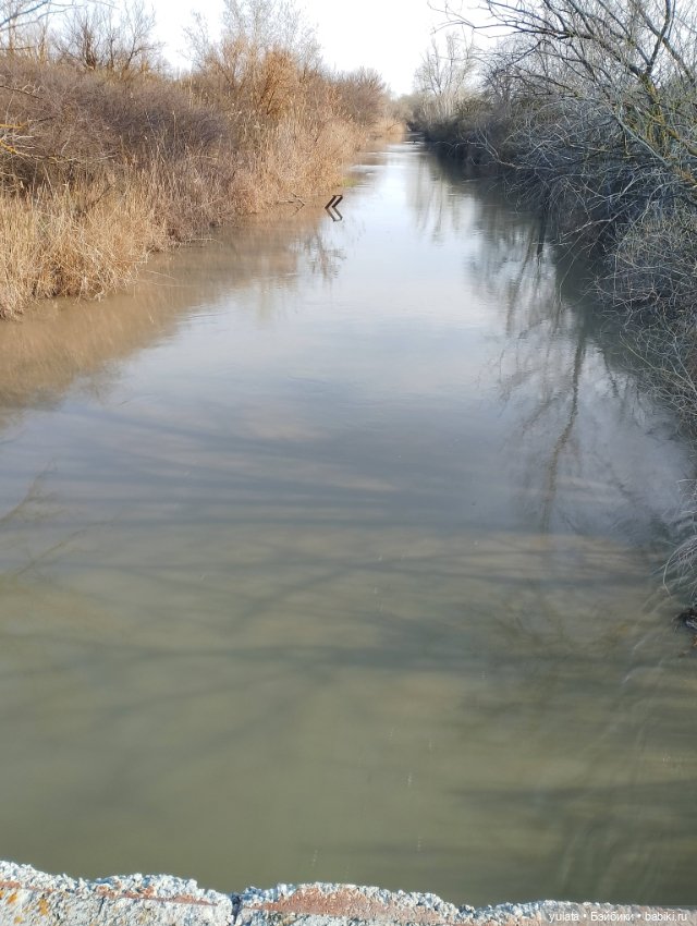 Весенняя прогулка — Домашние фото авторских кукол: личные коллекции (фото 3)