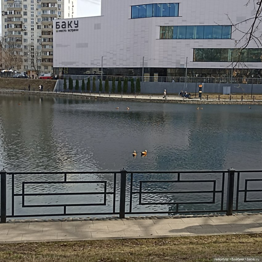 Эрин. Ещë один подарочек — Куклы Ruby Red (Руби Ред) Fashion Friends: Siblies (фото 3)