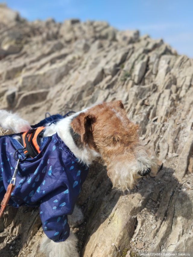 Кукловстреча на вершине горы Бештау (фото 6)