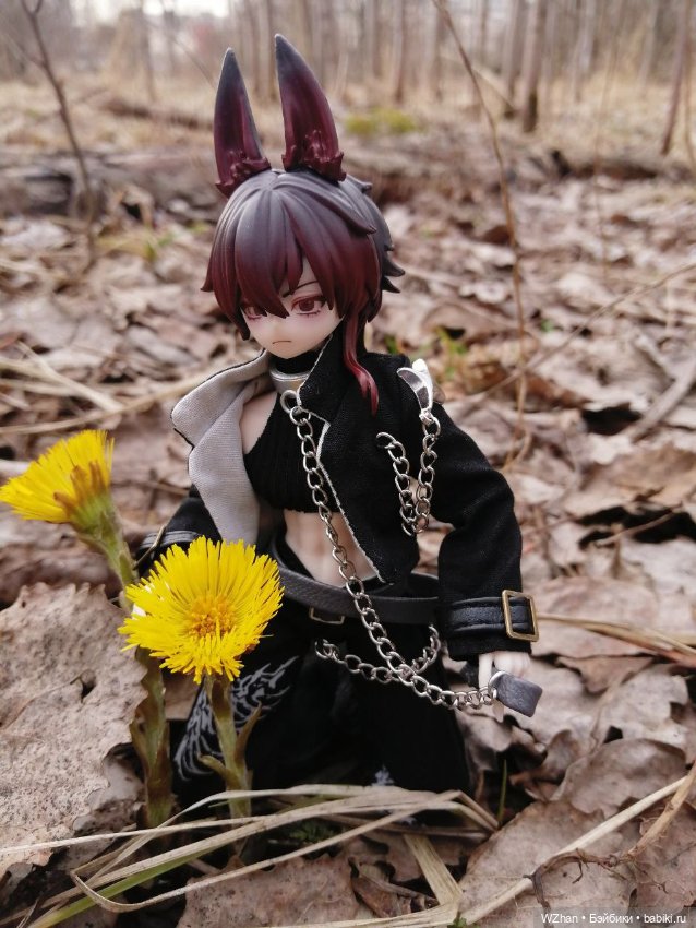 Marcello — Коллекции шарнирных