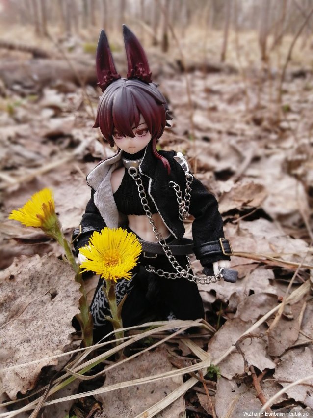 Marcello — Коллекции шарнирных