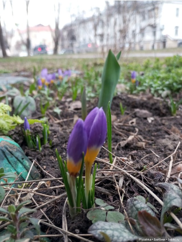 Сумочные фигурки и первые цветочки