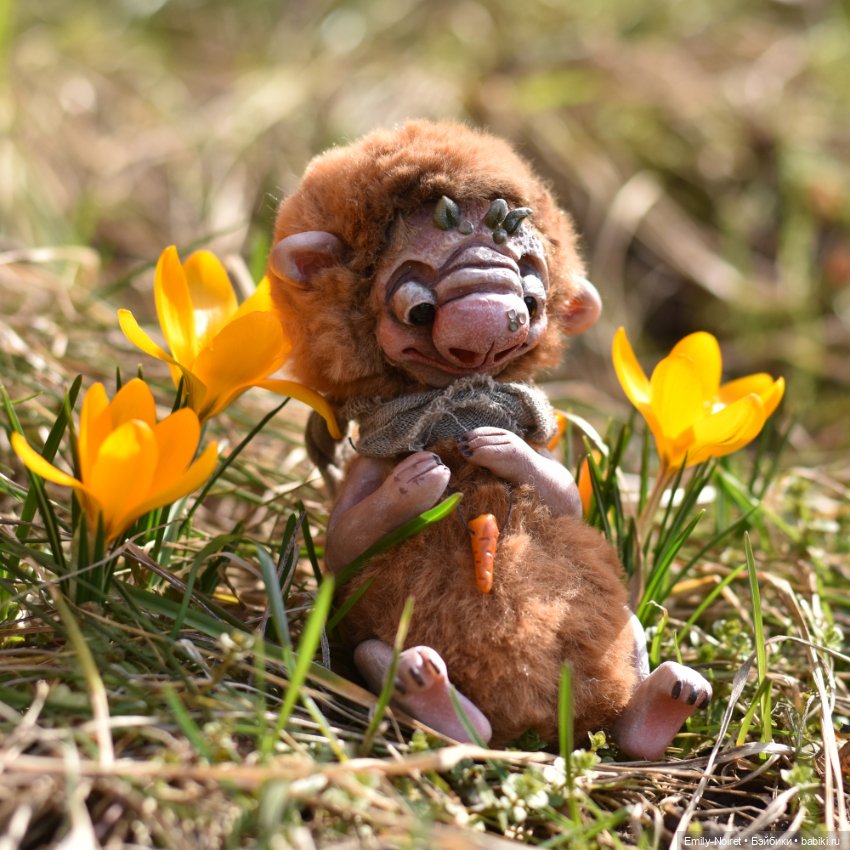 Фото-подборка: Желтые крокусы (фото 4)