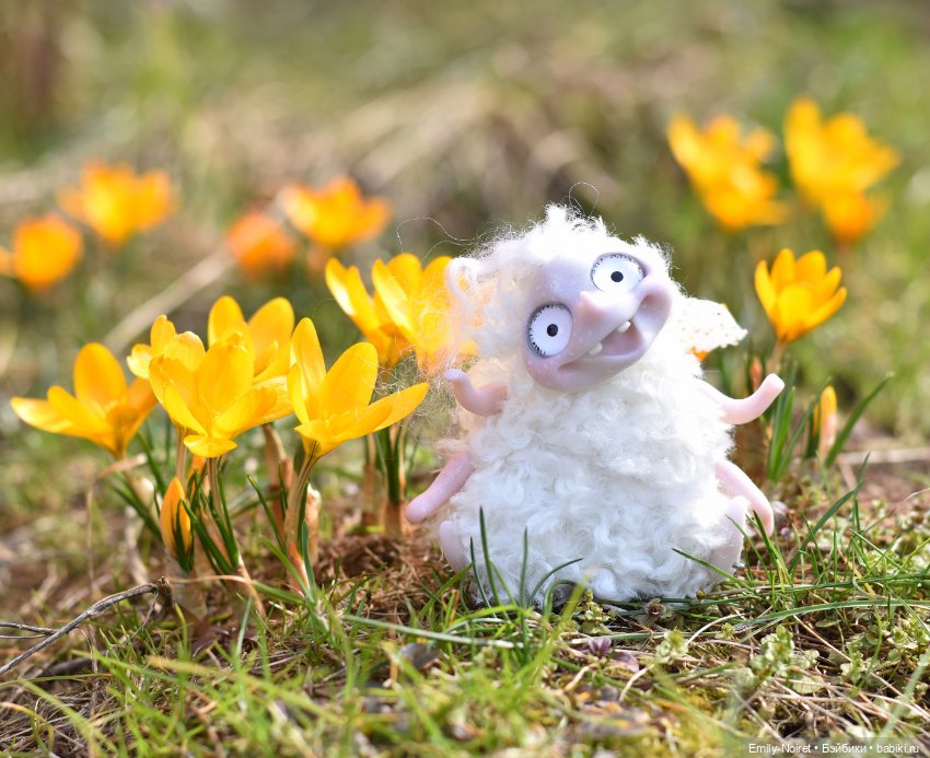 Фото-подборка: Желтые крокусы