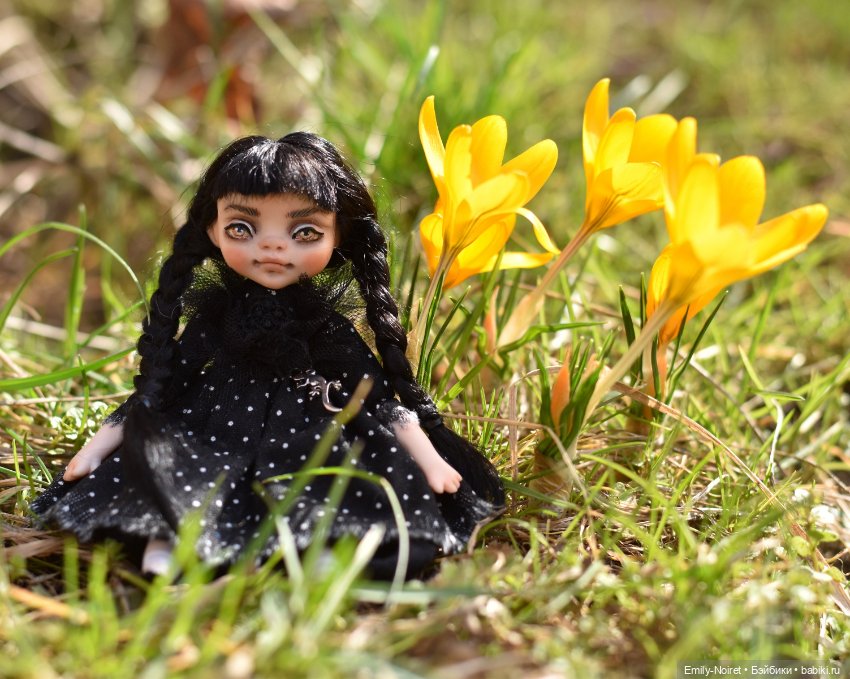 Фото-подборка: Желтые крокусы (фото 8)