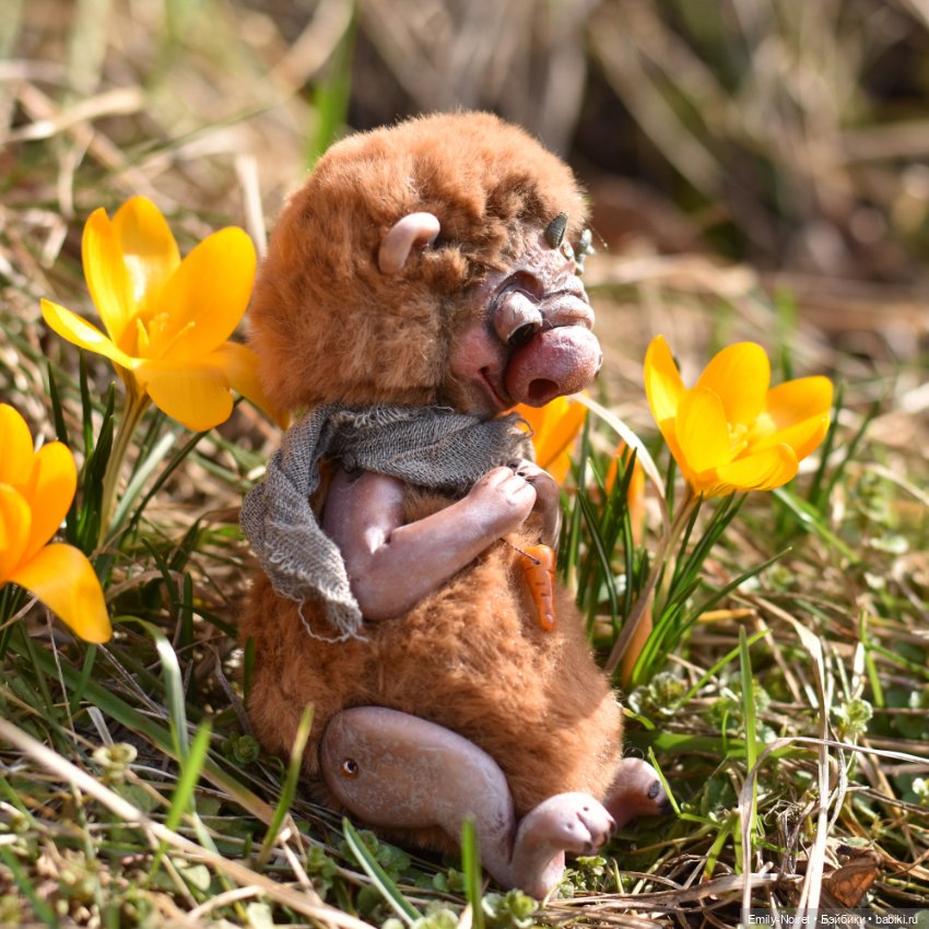 Фото-подборка: Желтые крокусы (фото 6)