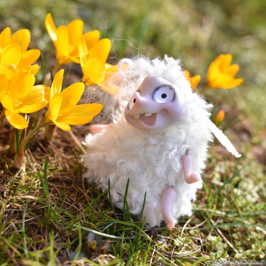 Фото-подборка: Желтые крокусы (фото 3)