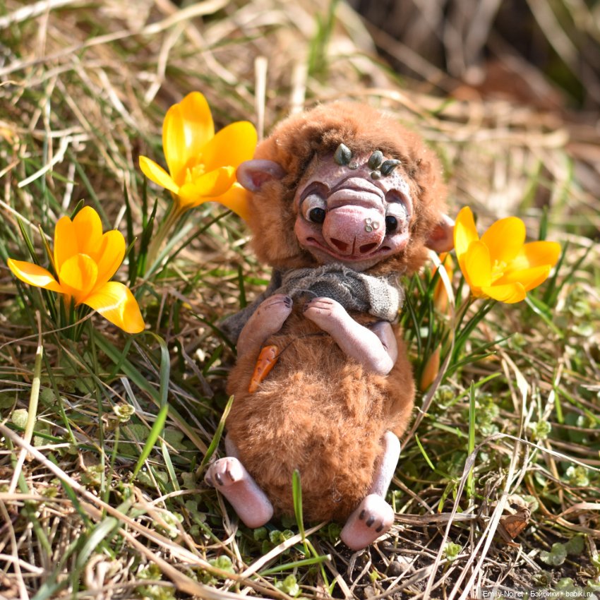 Фото-подборка: Желтые крокусы (фото 5)