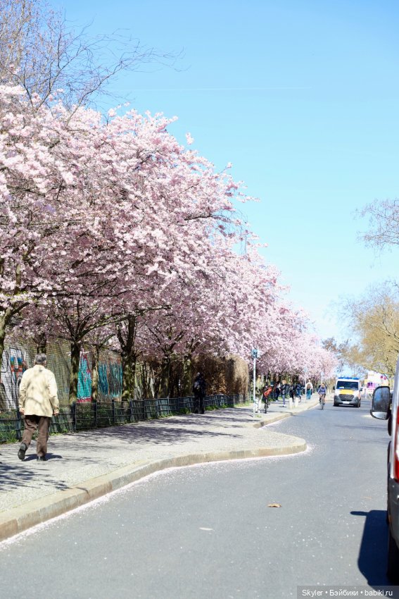 Элли и сакура..🌸 — Куклы Xiaomi Monst (Сяоми) и Pipitom: шарнирные