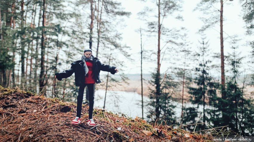 Дик. Разные прогулки — Экшн