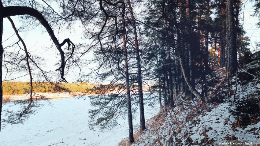 Дик. Разные прогулки — Экшн