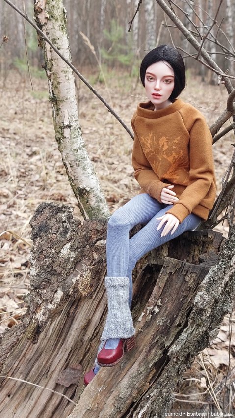 Волшебная Мишель — Разные куклы BJD (БЖД): редкие бренды