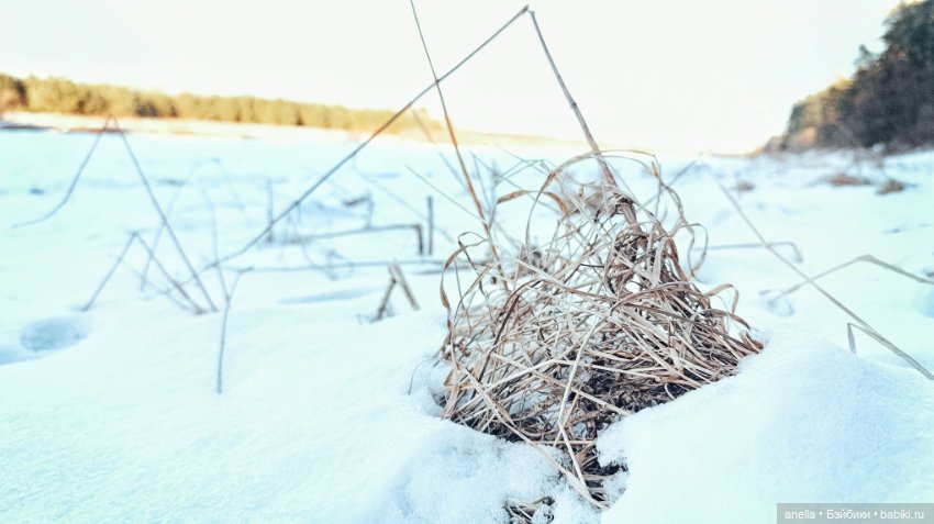 Дик. Разные прогулки — Экшн (фото 2)