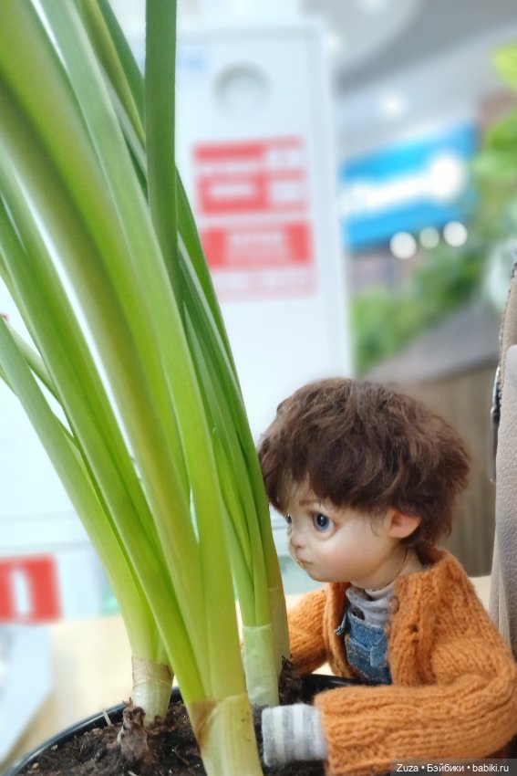 Мурзик — Домашние фото авторских кукол: личные коллекции (фото 10)