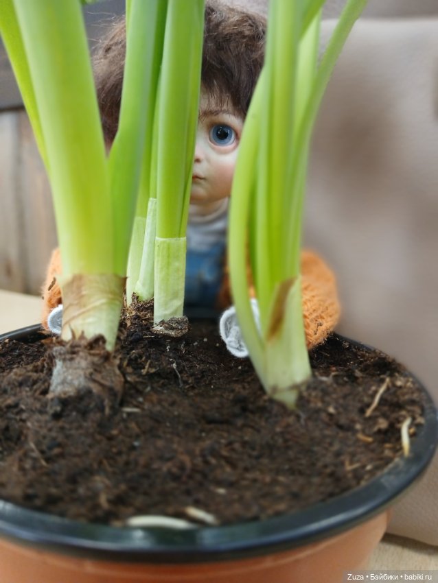 Мурзик — Домашние фото авторских кукол: личные коллекции (фото 7)