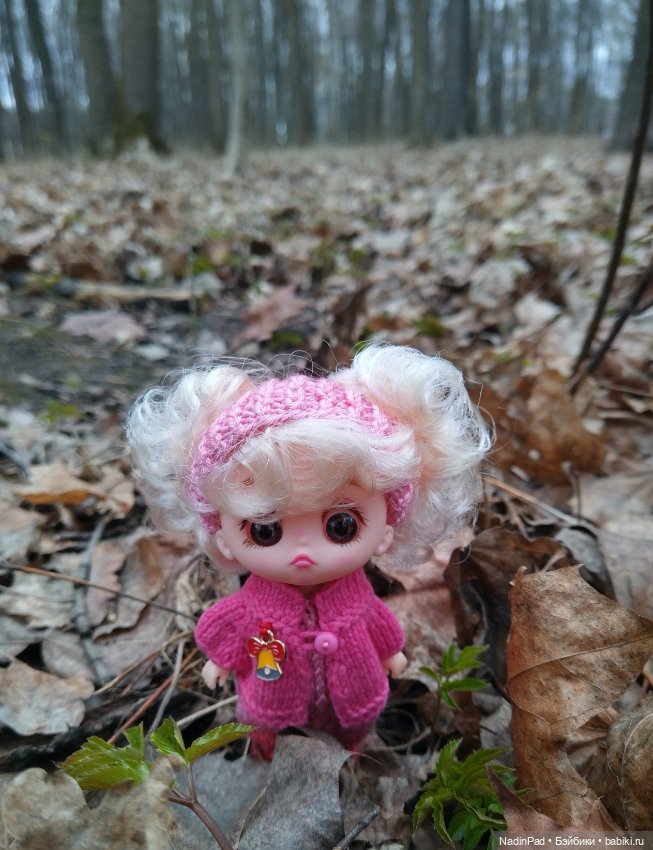 Мы гуляем с Деловулей. Начало (фото 5)