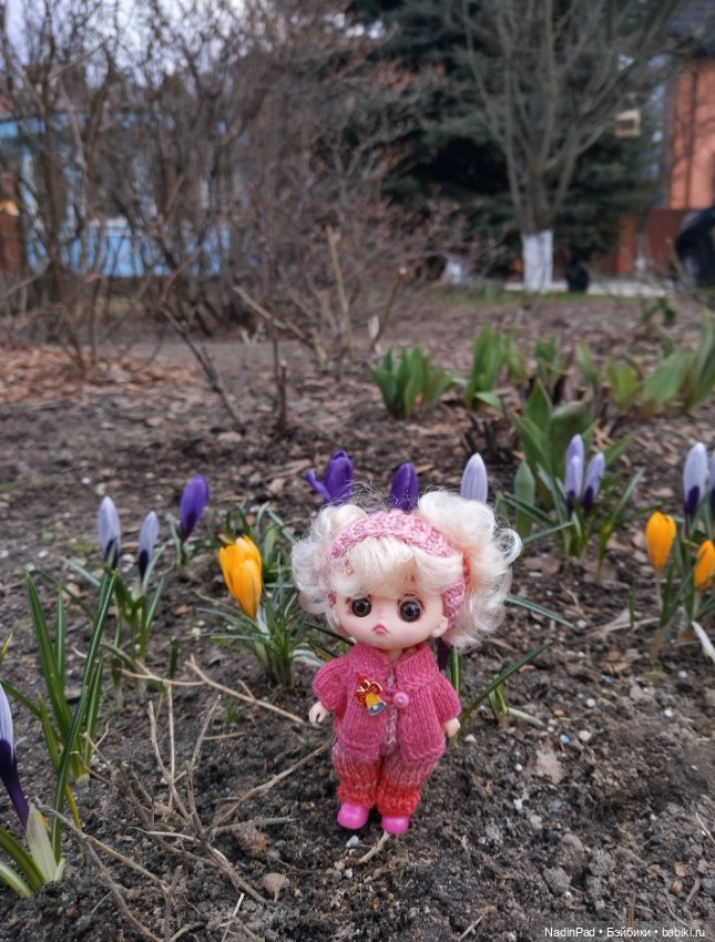 Мы гуляем с Деловулей. Начало (фото 10)