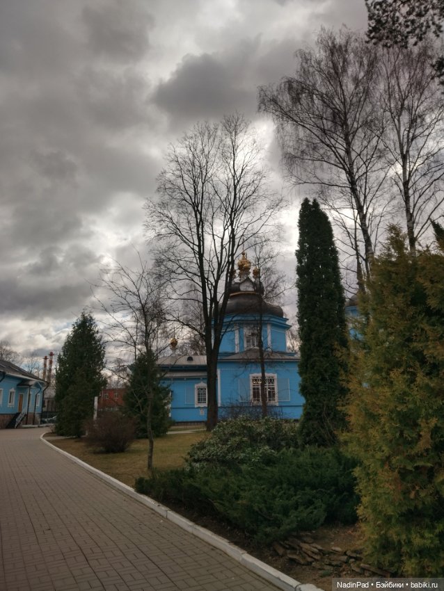 Мы гуляем с Деловулей. Начало (фото 9)