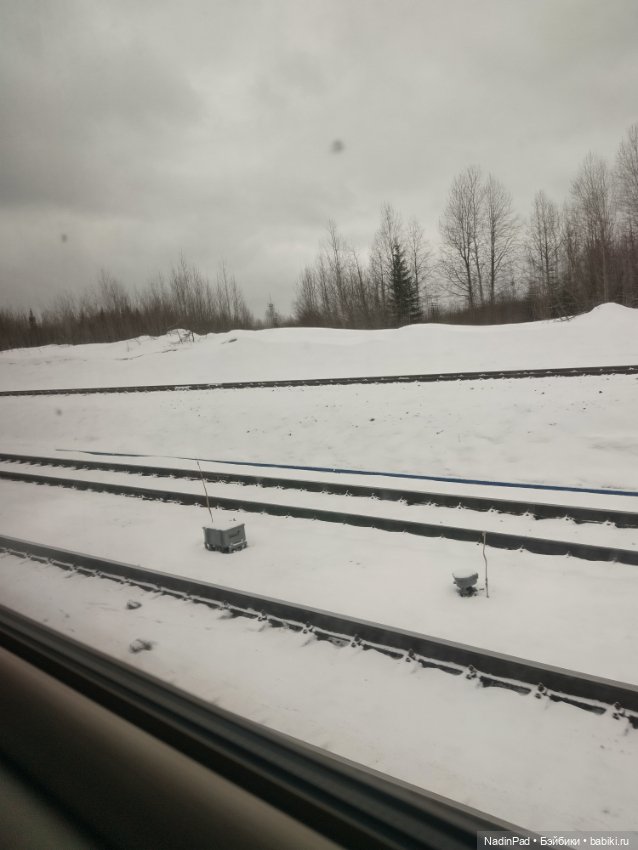 Мы гуляем с Деловулей. Начало (фото 2)