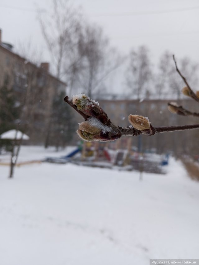 Муля и апрельский снег — Домашние фото авторских игрушек: Тедди (фото 6)