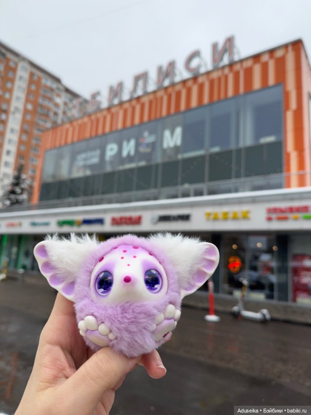 (Не)Обыкновенный день из жизни Шуршика