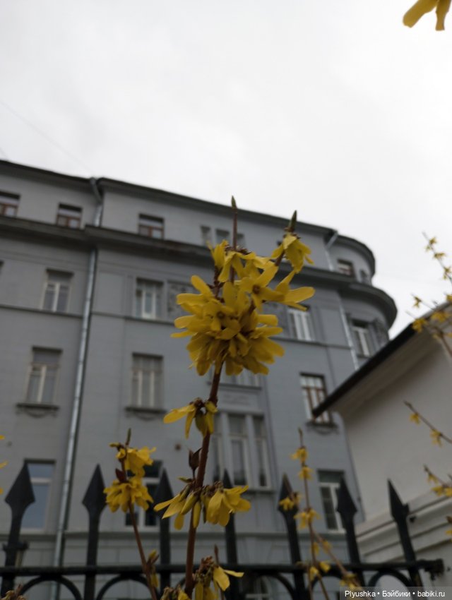 Агата - прогулка по старой Москве