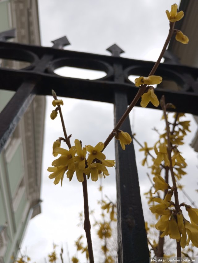 Агата - прогулка по старой Москве