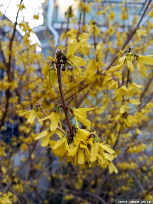 Агата - прогулка по старой Москве