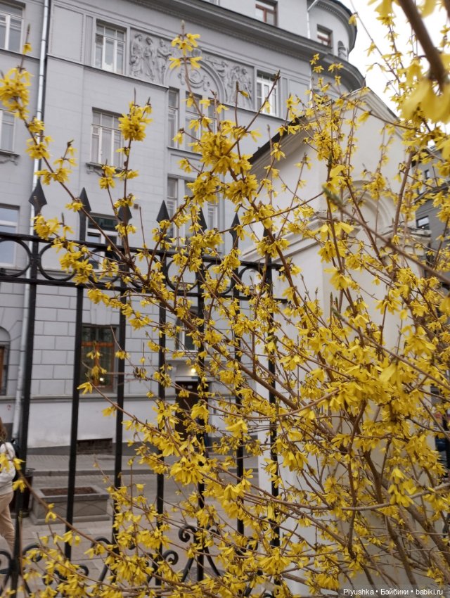 Агата - прогулка по старой Москве