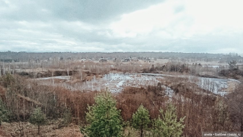 Дик. Паника. Торжок — Экшн (фото 7)