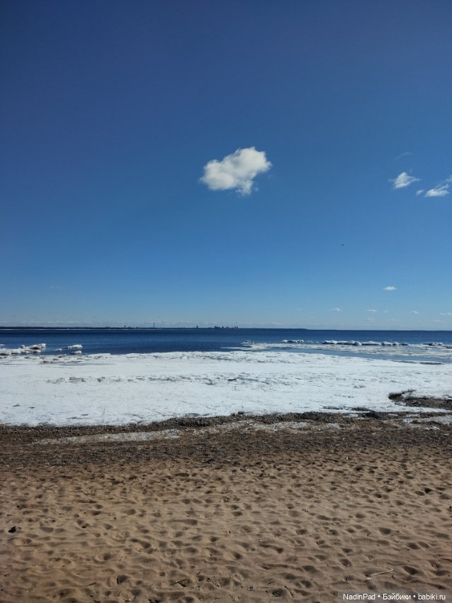 Мы гуляем с Деловулей. Продолжение