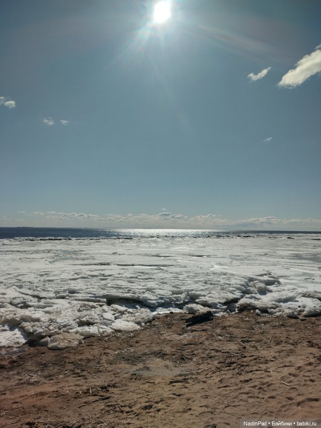 Мы гуляем с Деловулей. Продолжение (фото 2)