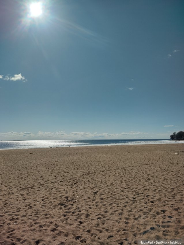 Мы гуляем с Деловулей. Продолжение