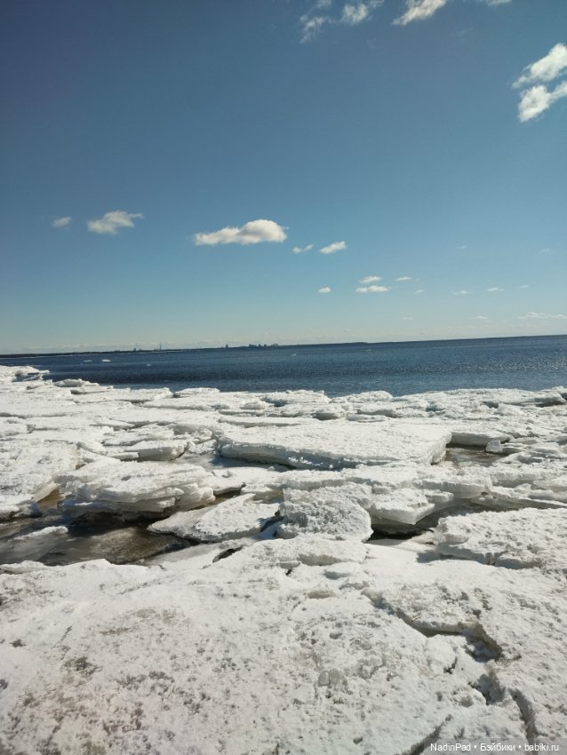 Мы гуляем с Деловулей. Продолжение (фото 4)