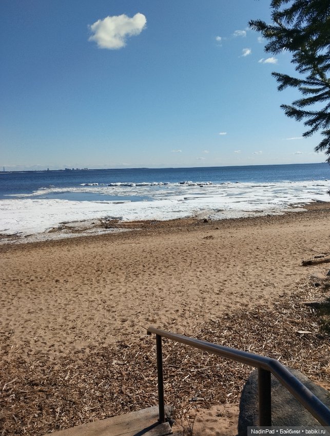 Мы гуляем с Деловулей. Продолжение