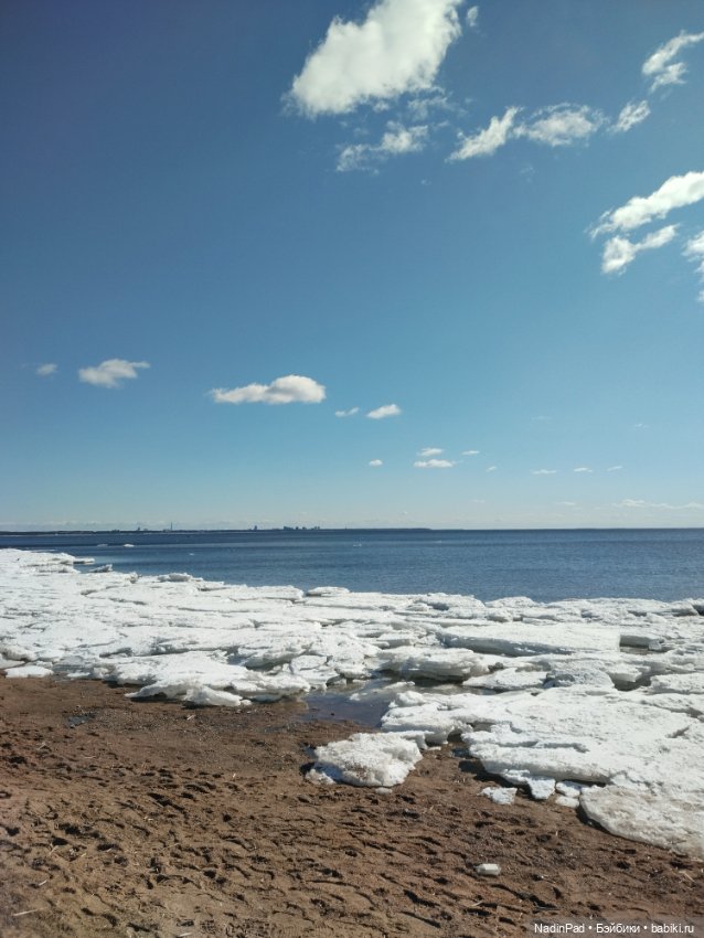 Мы гуляем с Деловулей. Продолжение