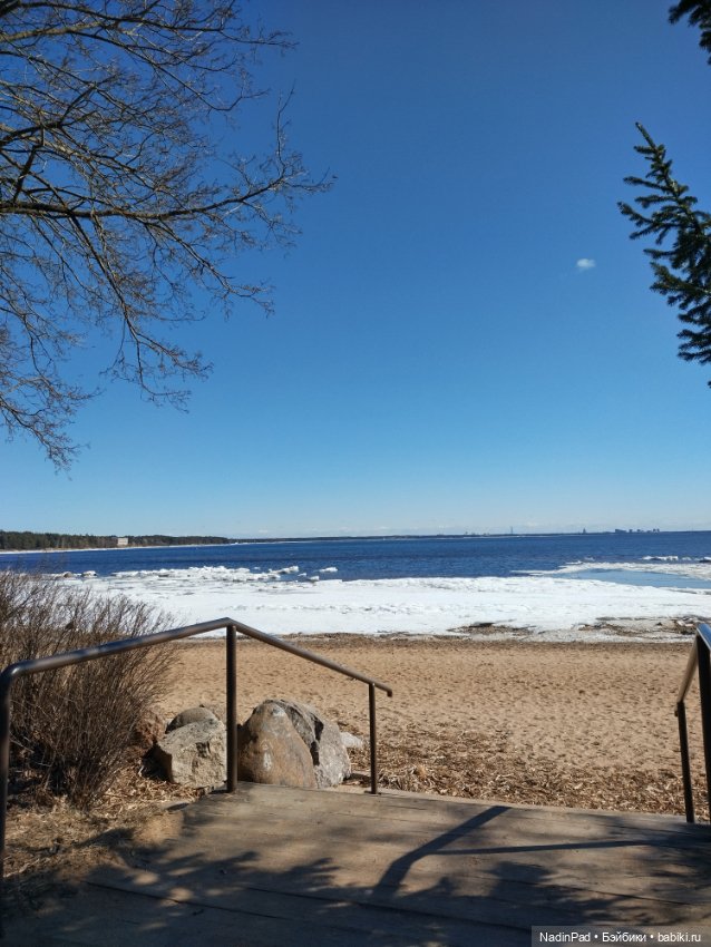 Мы гуляем с Деловулей. Продолжение