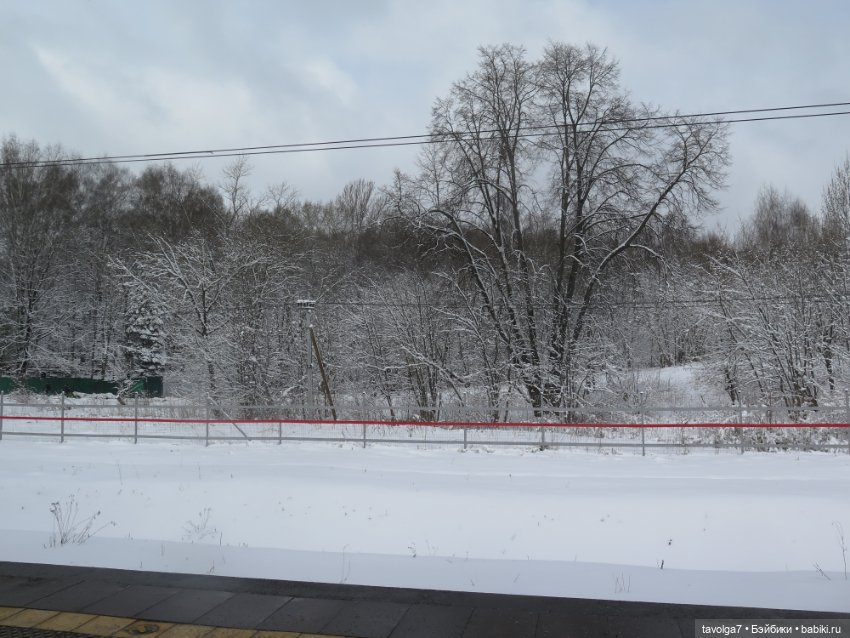 Кораллы из ювелирного воска процесс