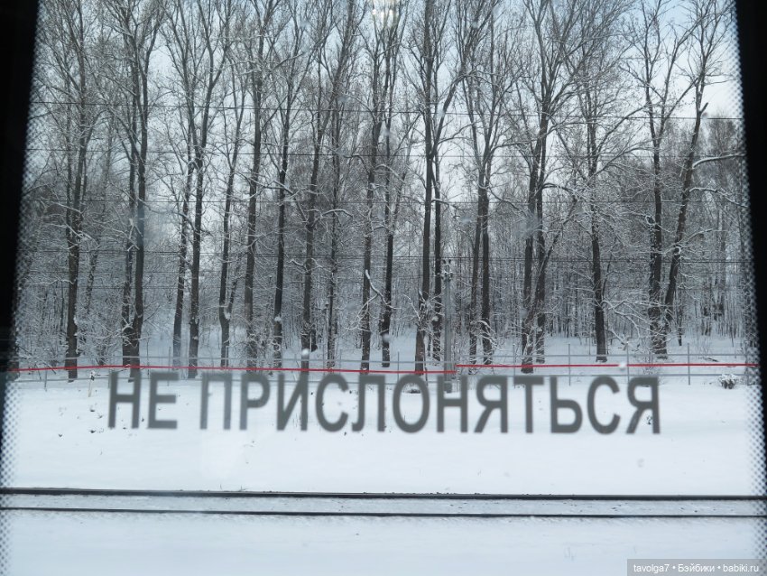 Кораллы из ювелирного воска процесс (фото 3)