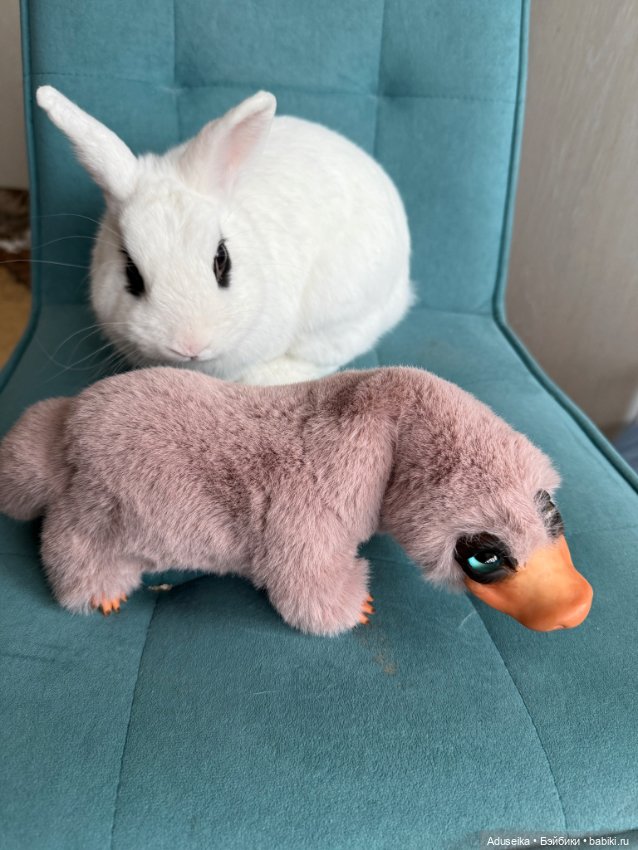 Niffler 🟰 Нюхль — Домашние фото авторских игрушек: Тедди