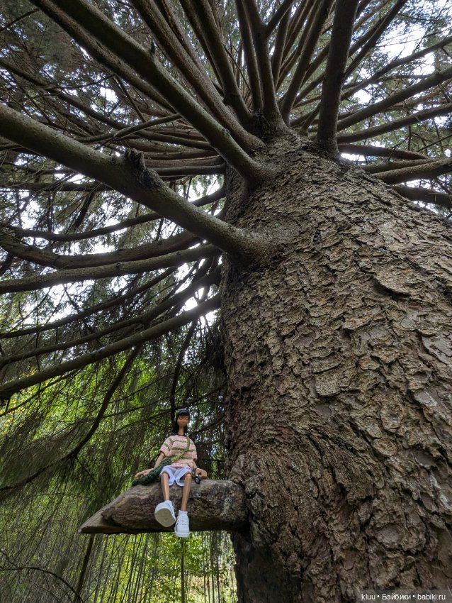 Нив путешествует. Торжок, август 2024