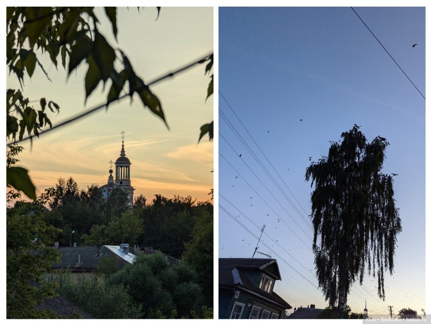 Нив путешествует. Торжок, август 2024